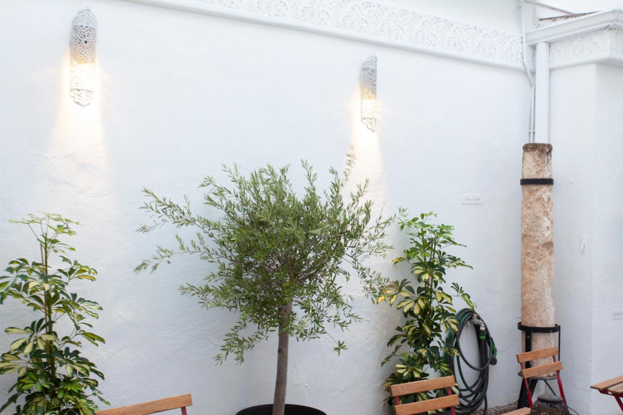 Altabib Riad قرطبة المظهر الخارجي الصورة
